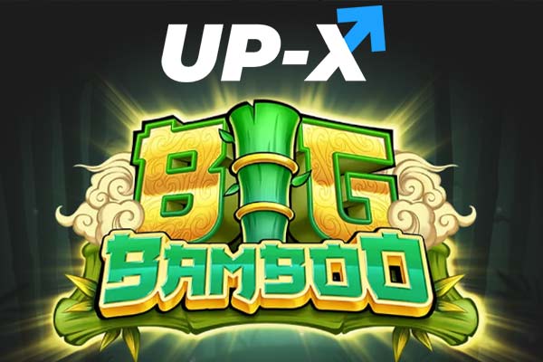 Big Bamboo в Up X